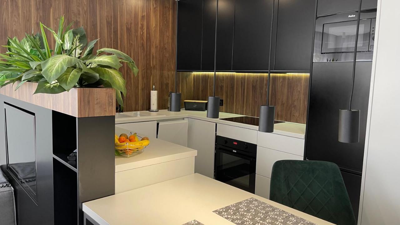 Zielone Tarasy - Next To The Beach With Garage Apartment