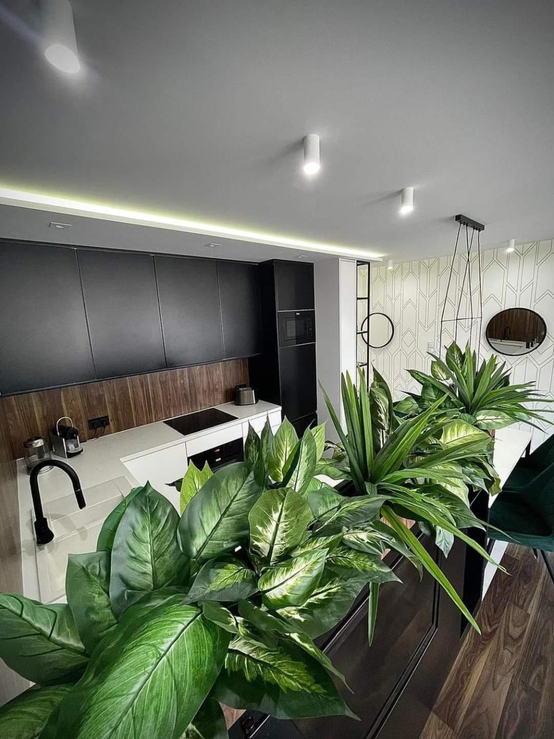 Zielone Tarasy - Next To The Beach With Garage Apartment *